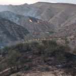 ۲۰ هکتار از طرح بادامکاری منطقه چیر کهگیلویه در آتش سوخت