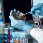 راه اندازی آزمایشگاه میکروبیولوژی و فاضلاب در گچساران