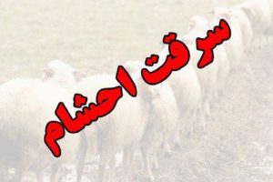 دستگیری سارقان احشام با اعتراف به ۹۶راس دام در گچساران